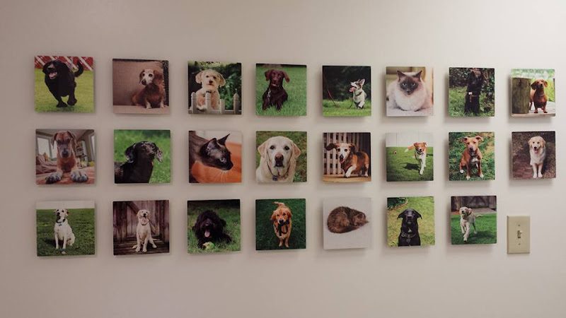 Ghent Veterinary Hospital