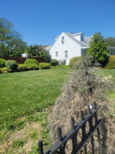 P and P Junk Removal and Demolition Services llc