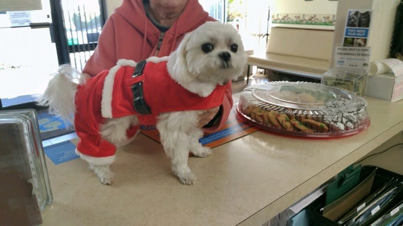 Bostic Veterinary Hospital