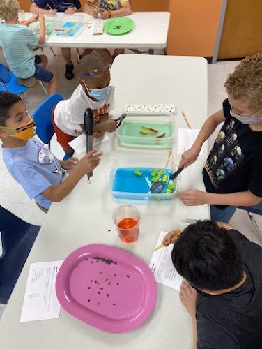 Mad Science of Hampton Roads