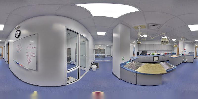 Dominion Veterinary Hospital