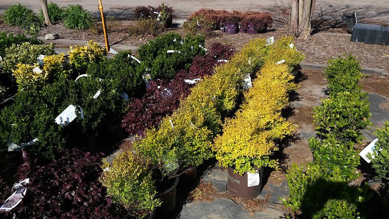 Four Seasons Nursery