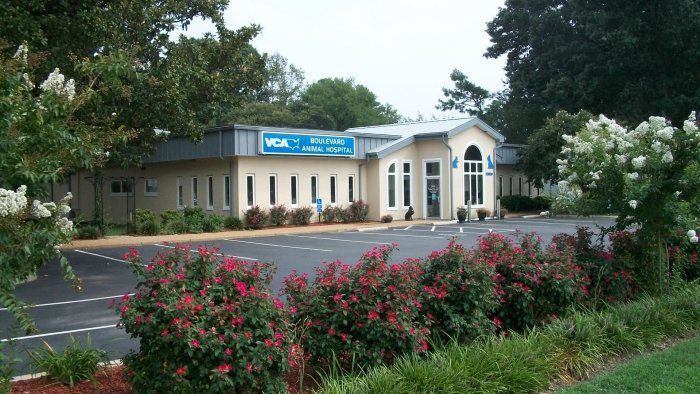VCA Boulevard Animal Hospital