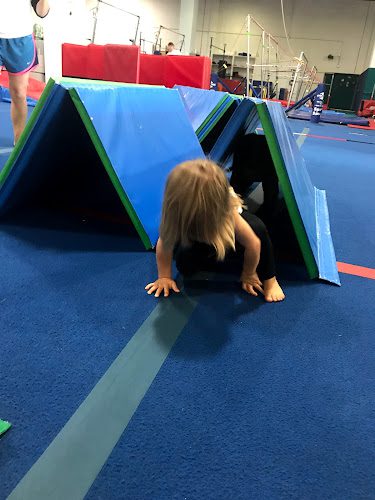 Tidewater Gymnastics Academy