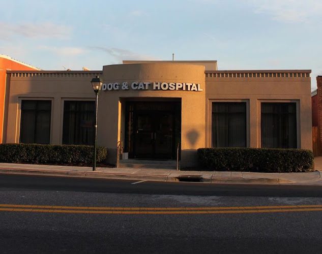 Dog & Cat Hospital