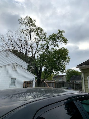 Smith’s Tree Care, Inc.