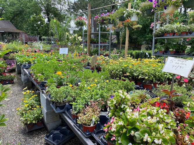 Carters Country Corner