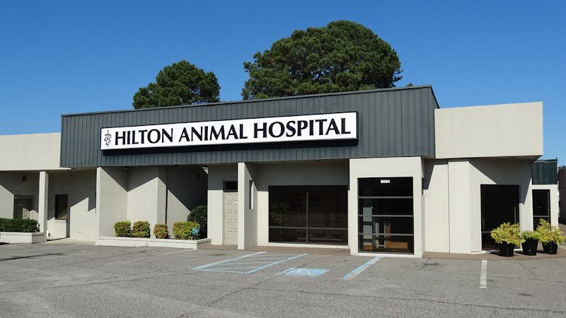 Hilton Animal Hospital
