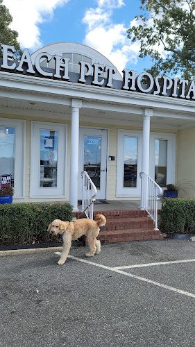 Beach Pet Hospital
