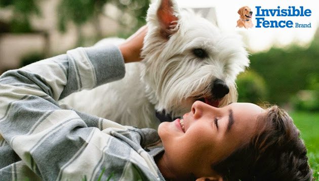 Invisible Fence Brand of Hampton Roads