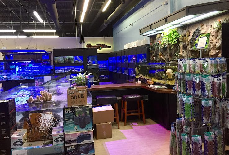 Aquariums Unlimited LLC