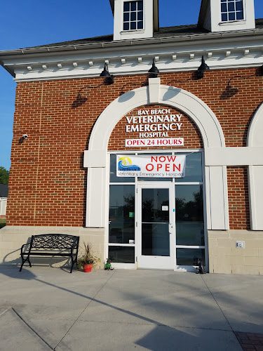Bay Beach Veterinary Emergency Hospital