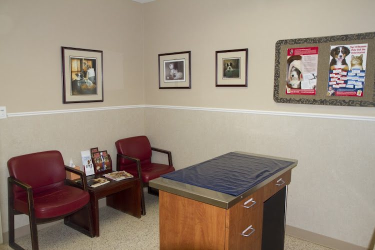 Colony Animal Hospital